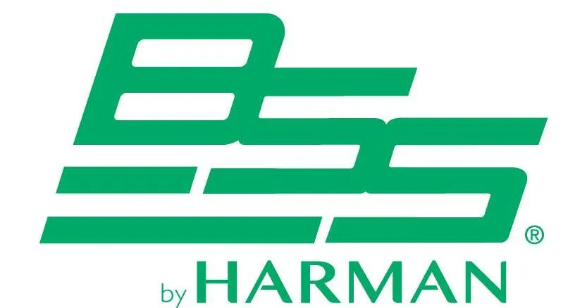 BSS BSS